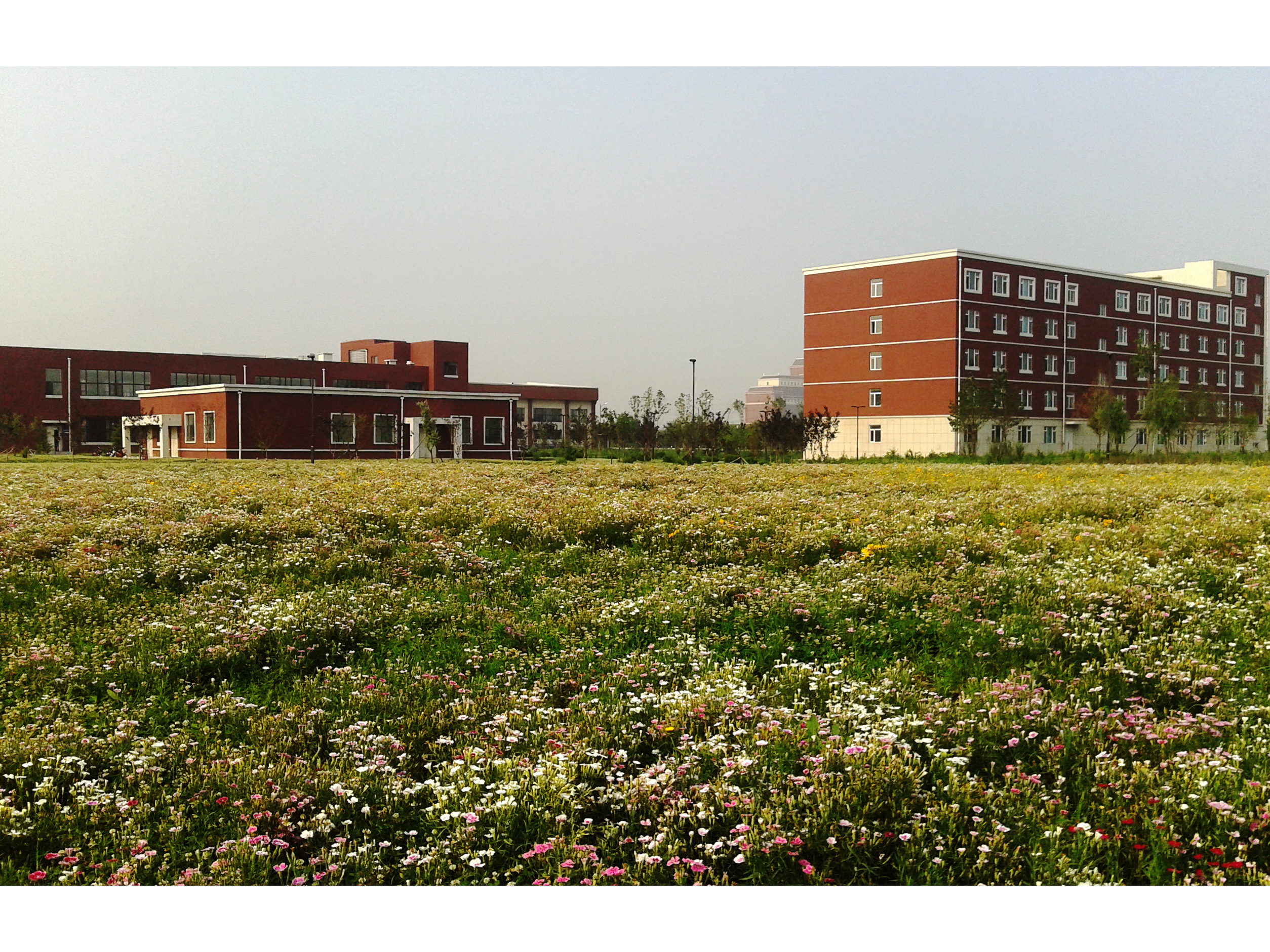 研究生公寓、綜合服務樓