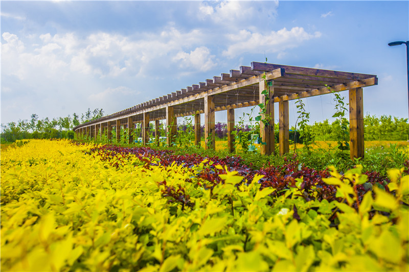 長廊2（長春園區）