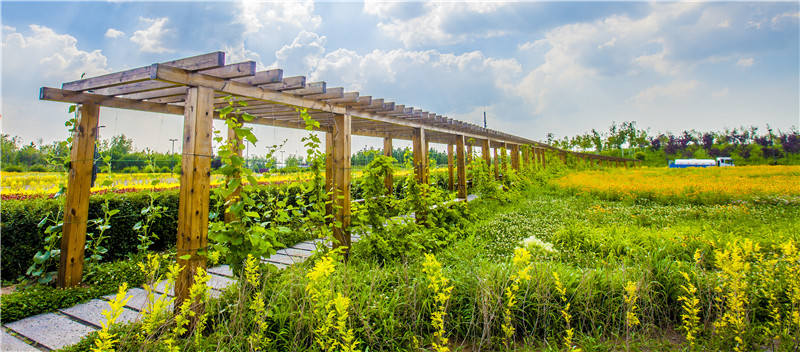 長廊1（長春園區）